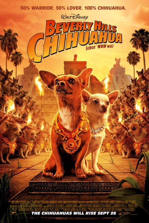 Chihuahua