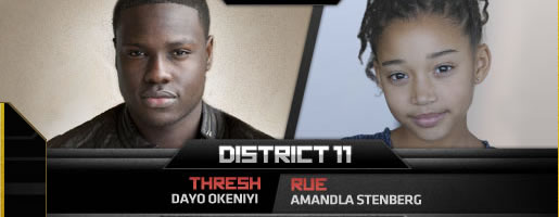 hunger-games-district-11