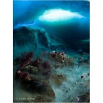 underwater-icefall-625x450